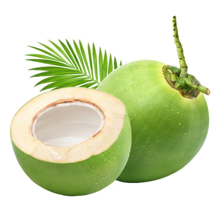 Manfaat Kelapa untuk Pencernaan dan Keseimbangan Serat